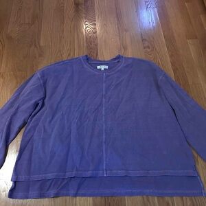 Madewell Purple Crewneck Sweatshirt